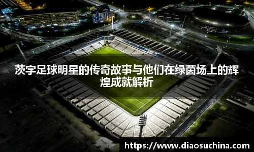 茨字足球明星的传奇故事与他们在绿茵场上的辉煌成就解析